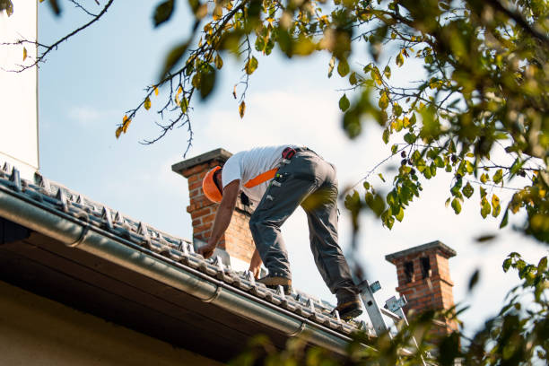 Best Roof Maintenance Services  in Fort Scott, KS