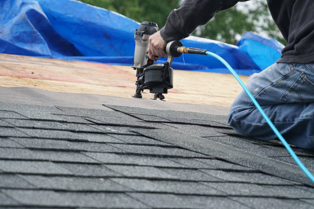 Best Metal Roofing Contractor  in Fort Scott, KS